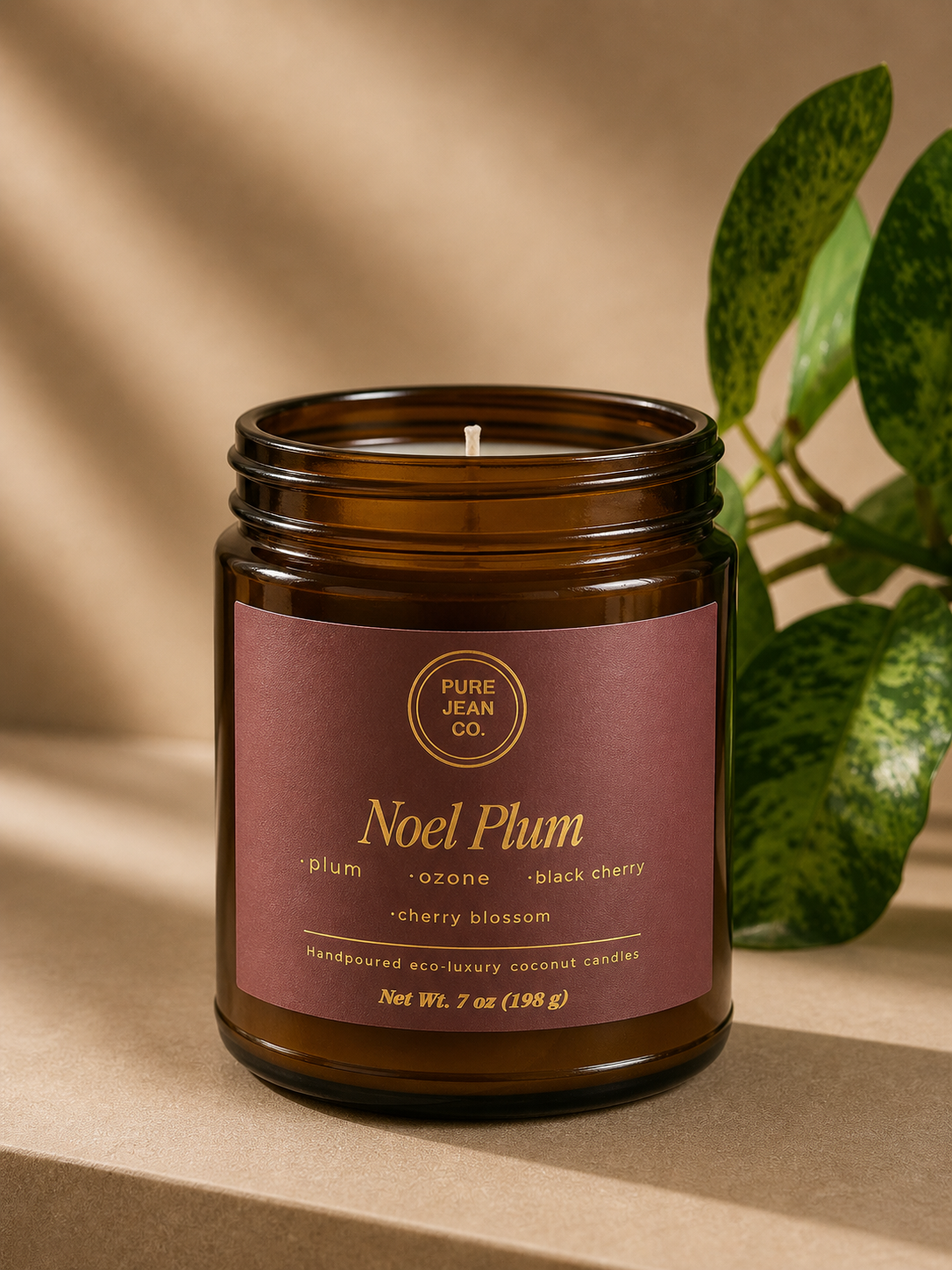 Noel Plum